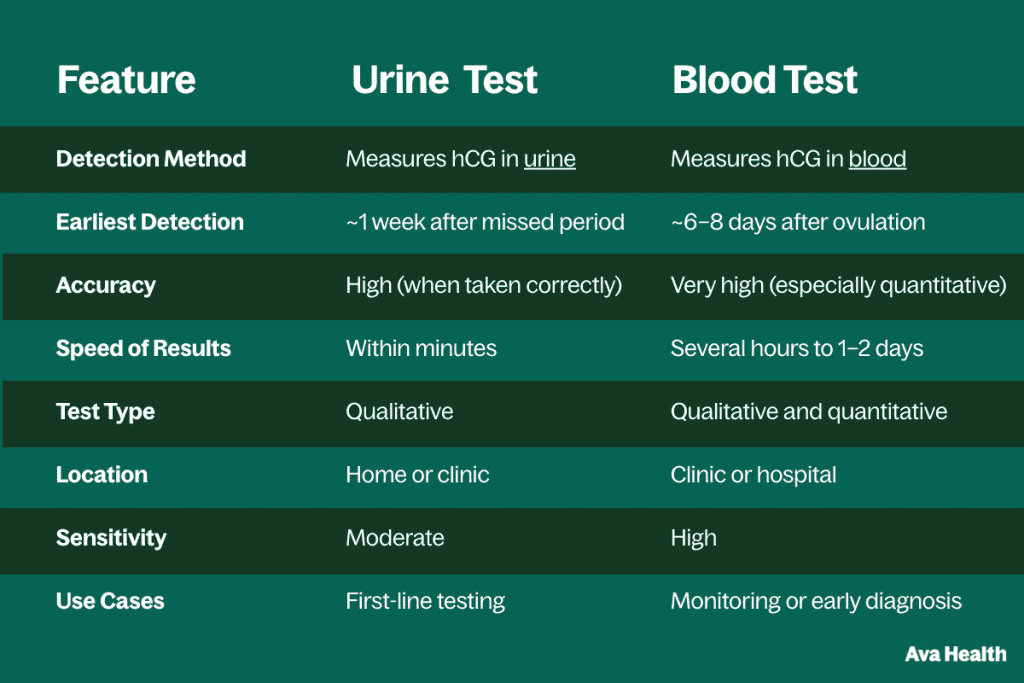 Infographic comparing blood and urine pregnancy tests by detection method, timing, accuracy, and sensitivity