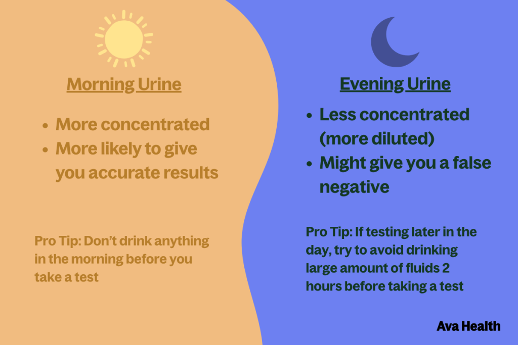 Pregnancy test accuracy comparison between first-morning and afternoon urine