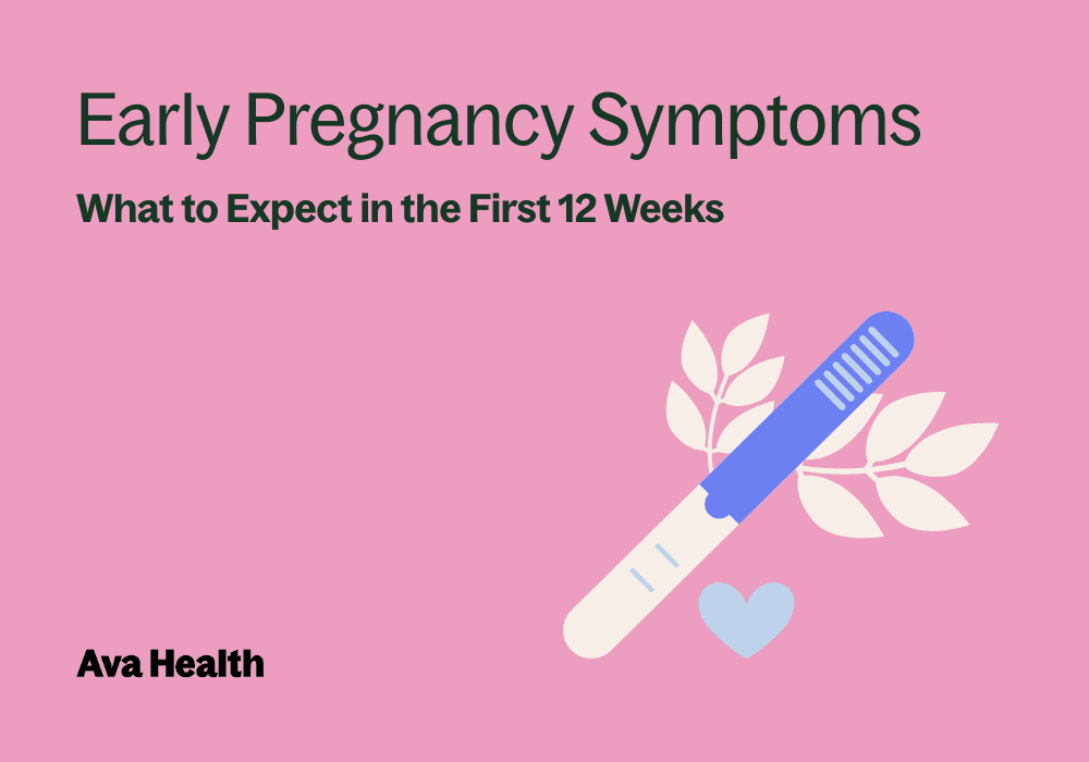 Graphic with the title of what to expect in the first trimester of pregnancy