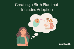 A graphic talking about birth plan including adoption
