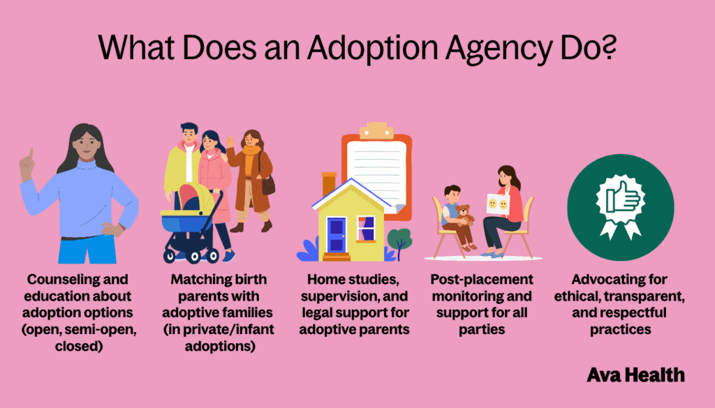 A graphic detailing what an adoption agency does