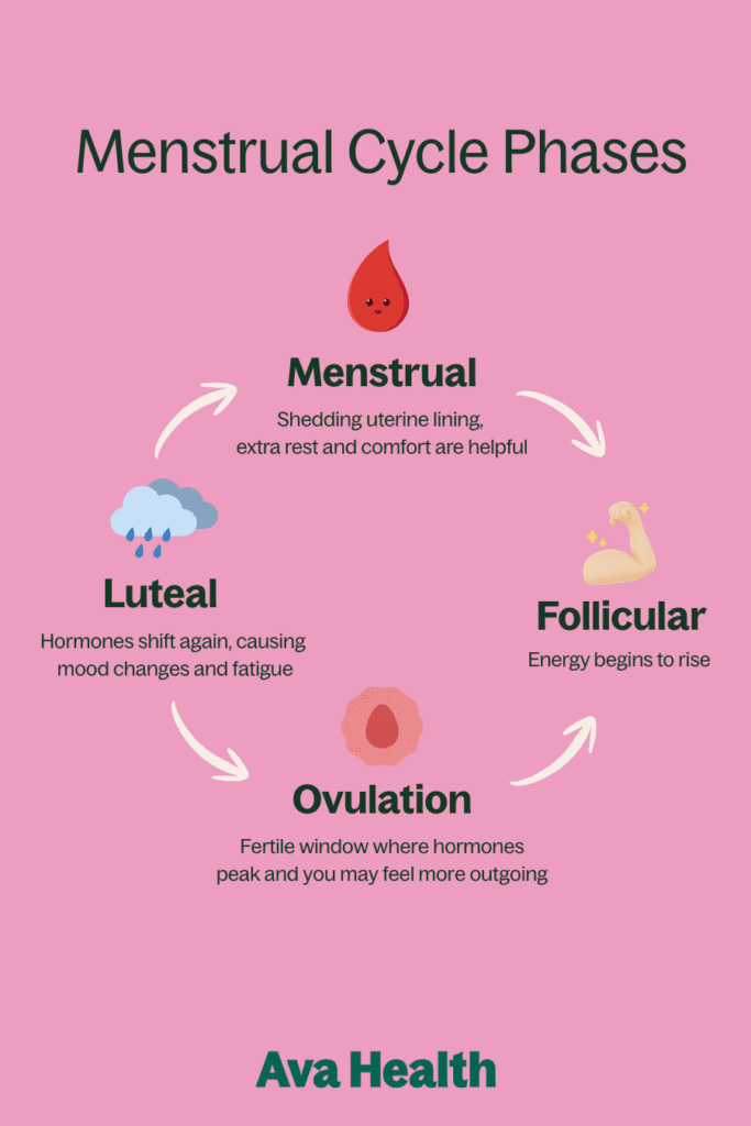 Infographic illustrating the four phases of the menstrual cycle — menstrual, follicular, ovulation, and luteal — showing energy, mood, and fertility patterns for natural cycle tracking.