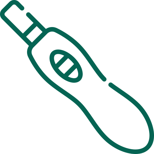 an icon of a pregnancy test