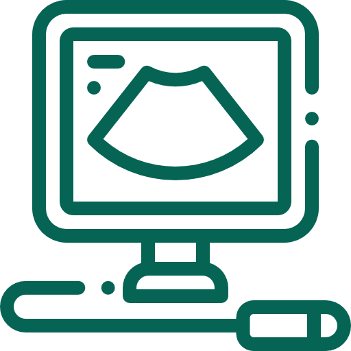 an icon of a pregnancy ultrasound