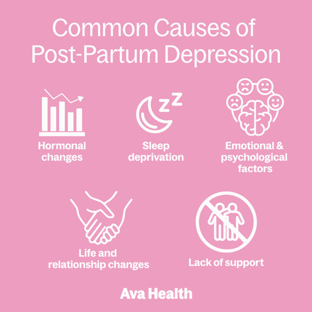 an image that shows the common causes of post-partum depression