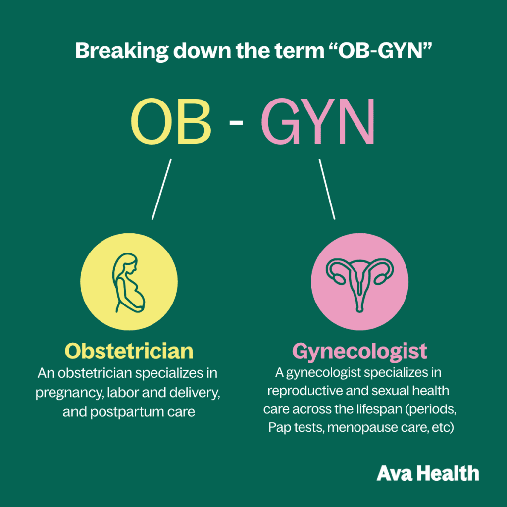 a graphic that breaks down the difference between an obstetrician and a gynecologist